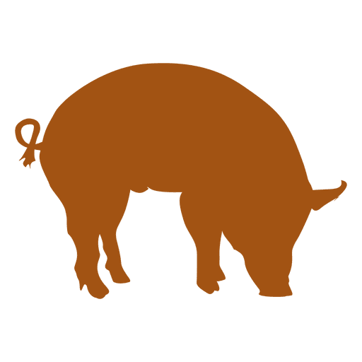 Orange pig silhouette PNG Design