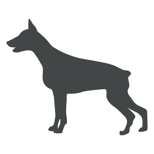Side dog silhouette posing
