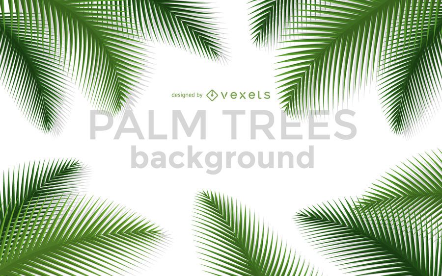Palm trees background frame Palm trees background frame
