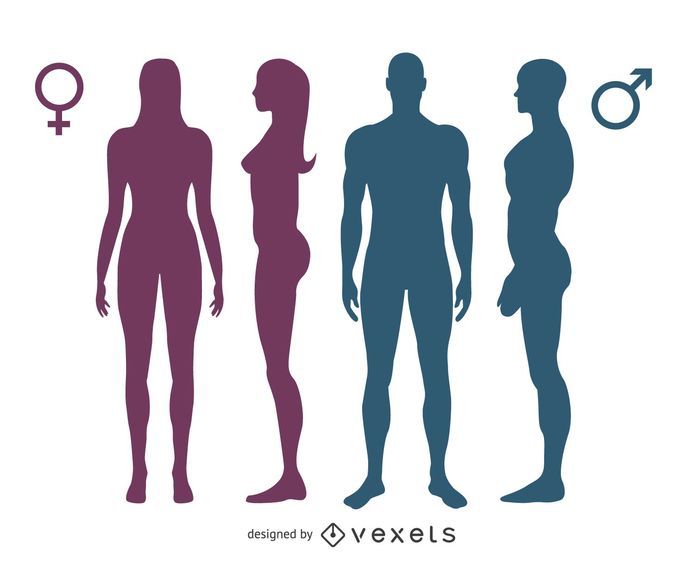 Isolated gender silhouettes Isolated gender silhouettes