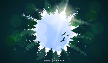 Waldlandschaft mit hohen Bäumen