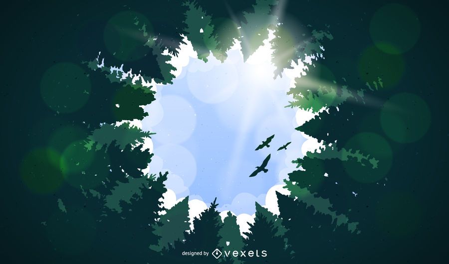 Forest landscape with tall trees Forest landscape with tall trees