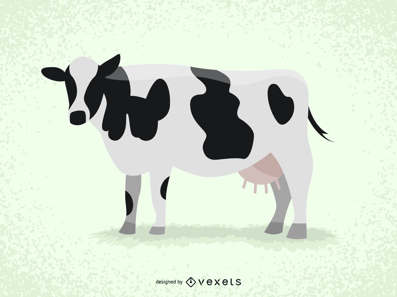 Cow Illustration Education