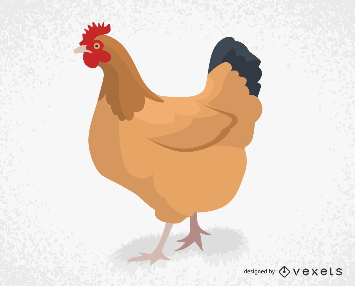 Farm chicken illustration