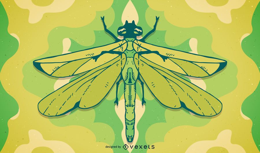 Hand drawn dragonfly illustration Hand drawn dragonfly illustration