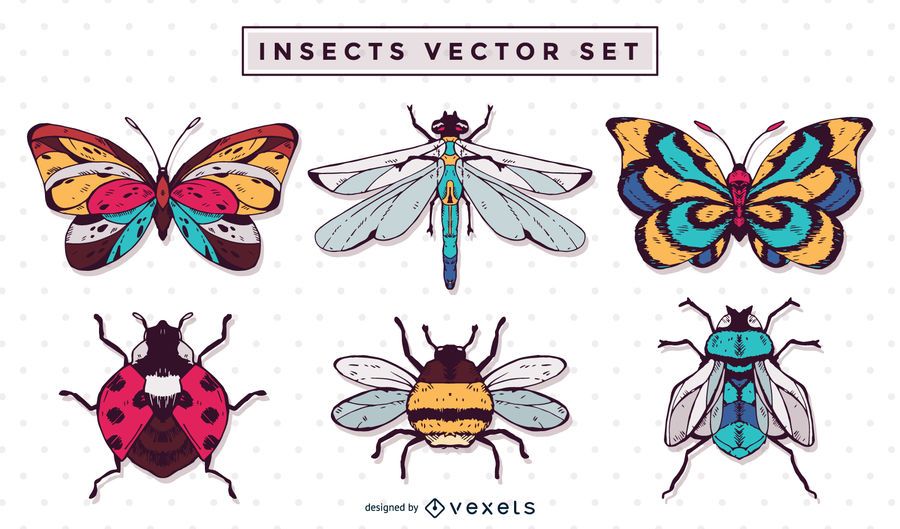 Hand drawn insect illustration set Hand drawn insect illustration set