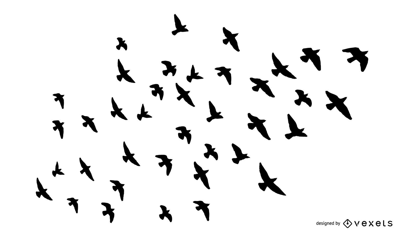 Conjunto de silueta de bandada de pájaros