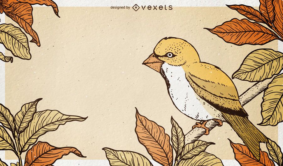 Bird illustration background Bird illustration background