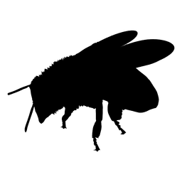 Silhueta de abelha polinizando Desenho PNG