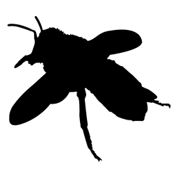 Silhueta de abelha Desenho PNG