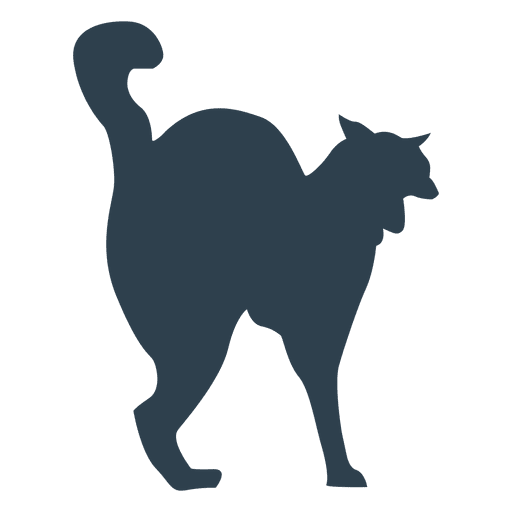 Gato assustado silhueta Desenho PNG