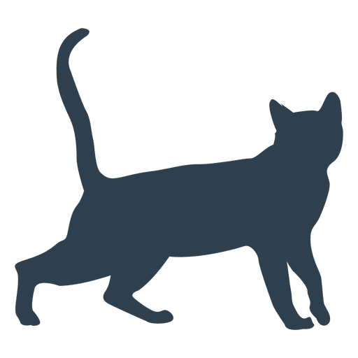 Katze gehendes Schattenbild PNG-Design