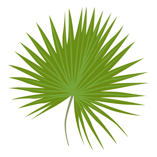 Ilustración de hoja de palmetto enano Diseño PNG