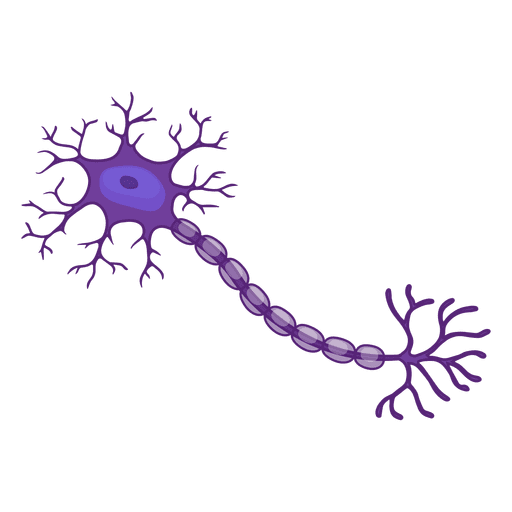 Neuron illustration PNG Design