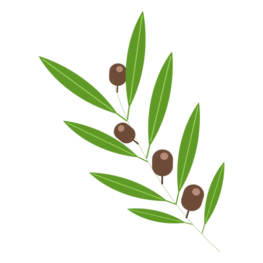 Olive tree illustration