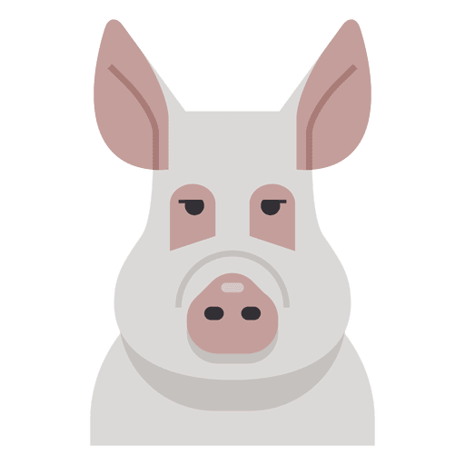 Pig illustration PNG Design