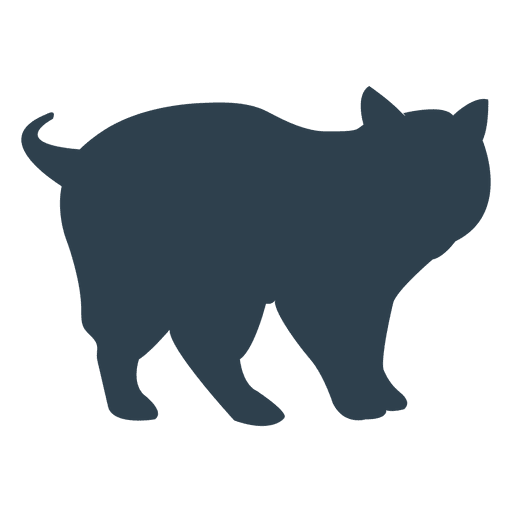 Silueta de gato Scottish Fold Diseño PNG