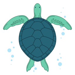 Ilustração de tartarugas marinhas Transparent PNG