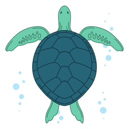 Sea turtle illustration Sea turtle illustration