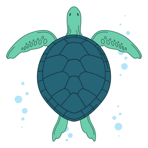 Sea turtle illustration PNG Design