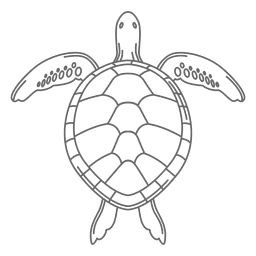 Línea de tortugas marinas Diseño PNG