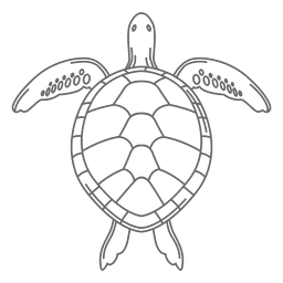 Linha de tartarugas marinhas Transparent PNG