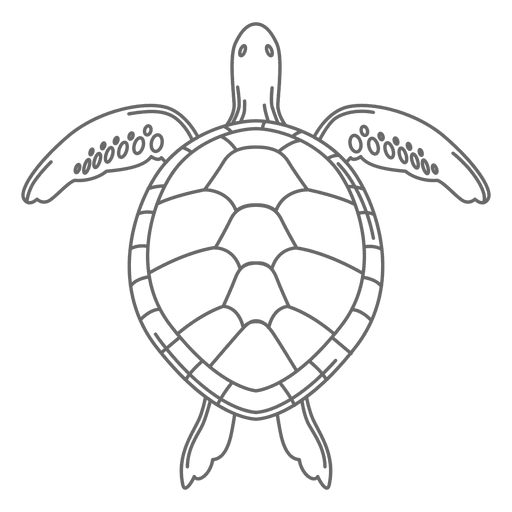 Sea turtle line PNG Design