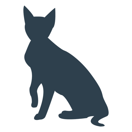 Siamesse gato sentado silueta Diseño PNG