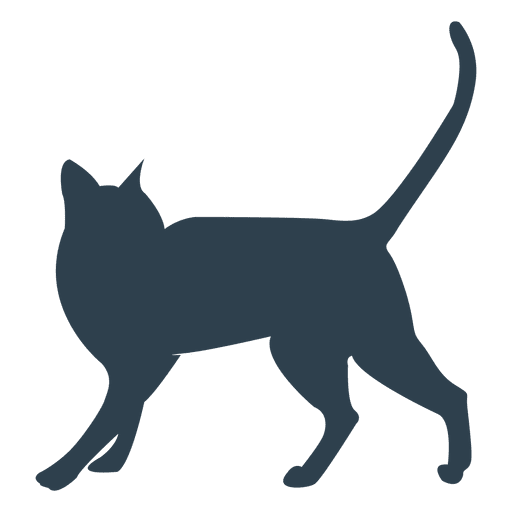 Siamesse cat walking silhouette