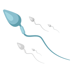 Spermatozoon illustration PNG Design