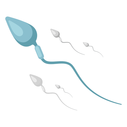 Spermatozoon Illustration PNG-Design