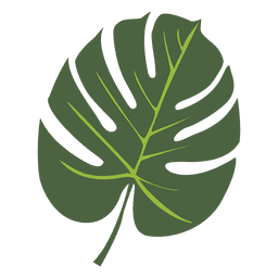 Tropical palm leaf illustration PNG Design
