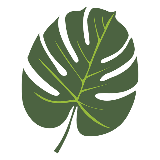 Tropische Palmblattillustration PNG-Design