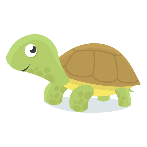 Tortuga En Png