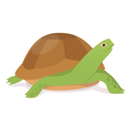 Ilustración de tortuga Diseño PNG