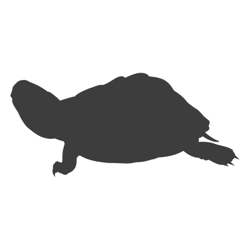 Turtle sunbathing silhouette PNG Design