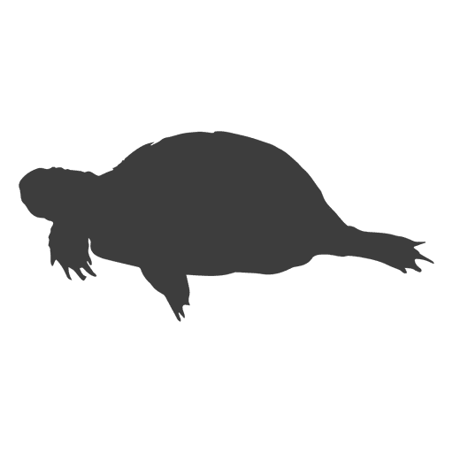 Turtle swimming silhouette turtle silhouette PNG Design