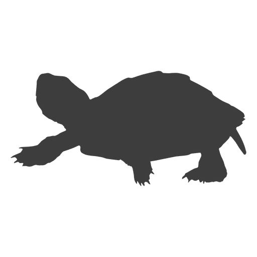 Silhueta de tartaruga caminhando Desenho PNG