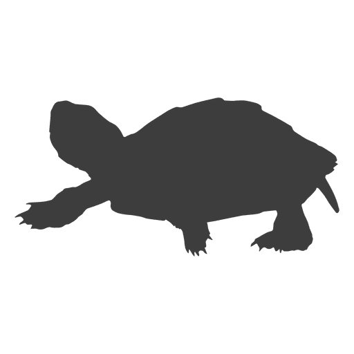 Download Turtle walking silhouette - Transparent PNG & SVG vector file