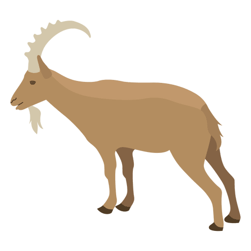 Wild goat illustration