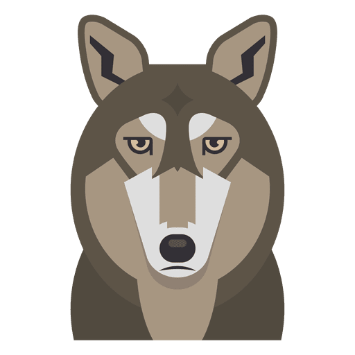 Ilustração de lobo Desenho PNG