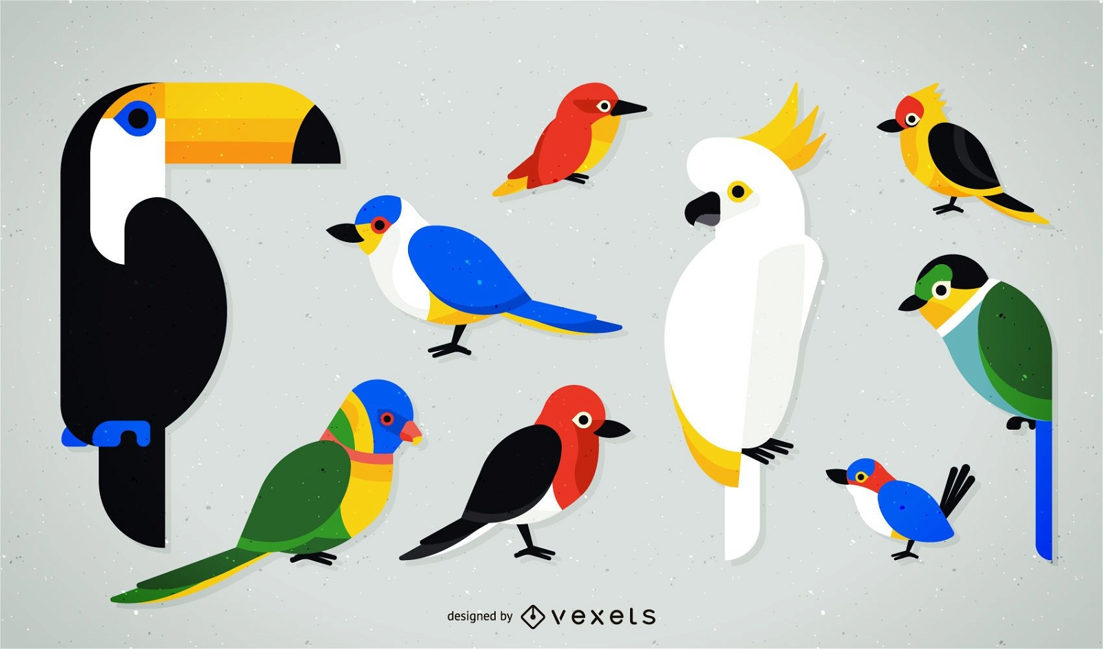 Flat tropical bird illustration set
