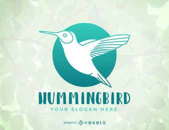 Diseño de plantilla de logotipo de colibrí