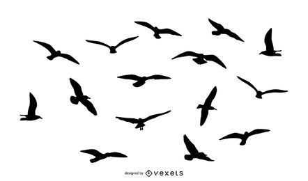 Pacote de silhuetas de pássaros voando