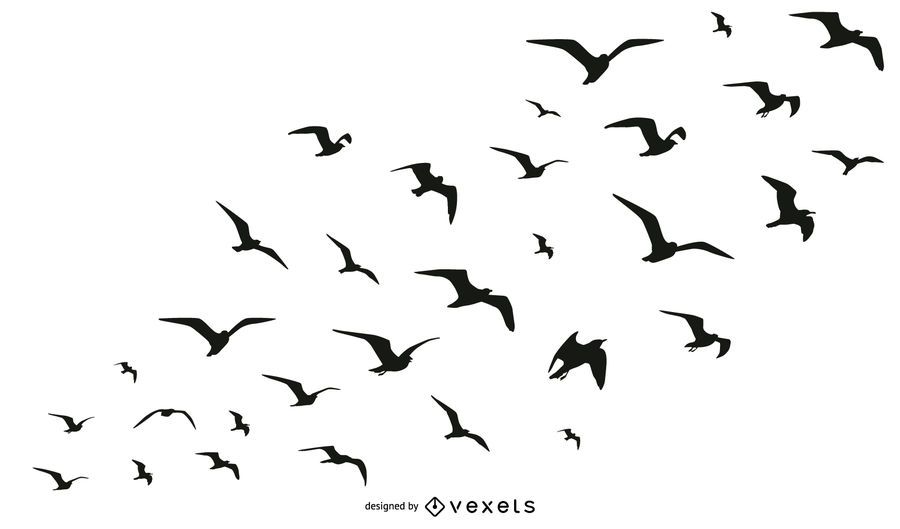 Colección de aves bandada silueta Colección de aves bandada silueta
