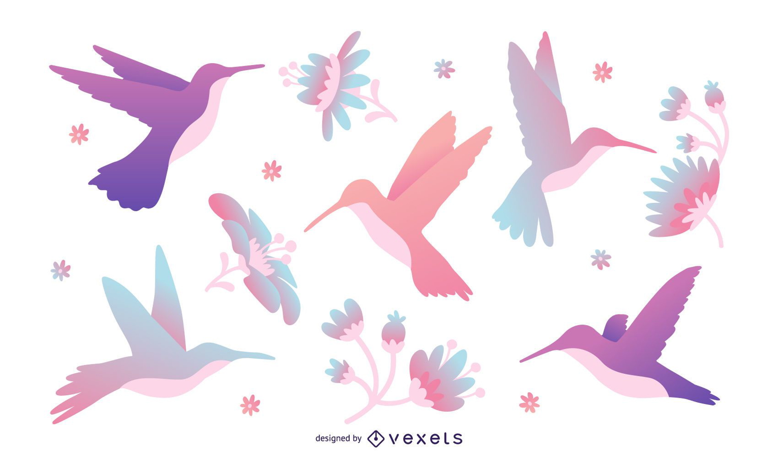 Conjunto de ilustração de beija-flor em tons pastel