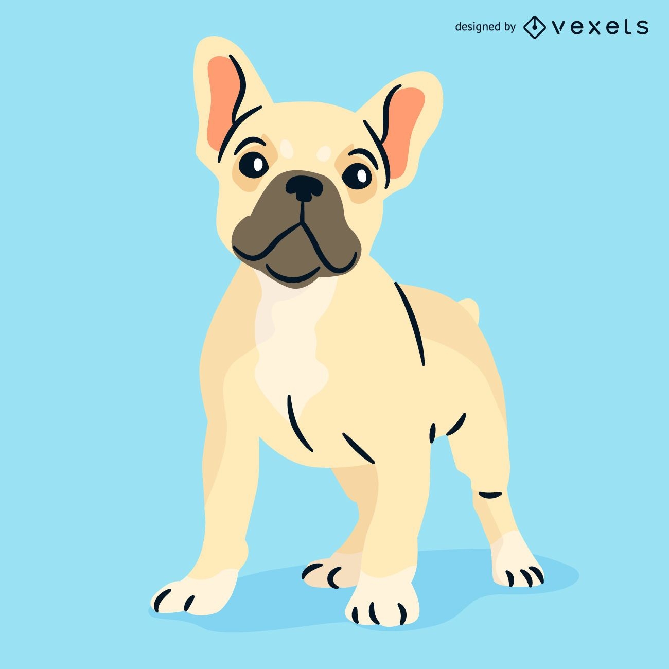 Französische Bulldogge Illustration