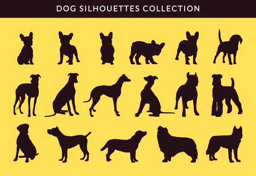 Silhouette der französischen Bulldogge und Greayhound Silhouette Silhouette der französischen Bulldogge und Greayhound Silhouette