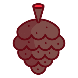 Cono de pino de navidad Diseño PNG