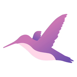 Colibri voando Desenho PNG